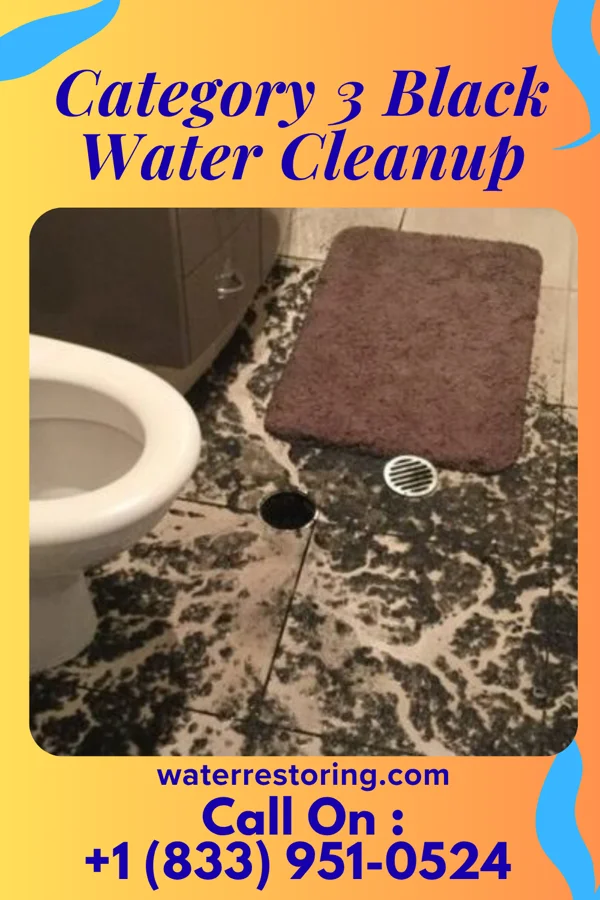 Category 3 Black Water Cleanup in May Creek, WA