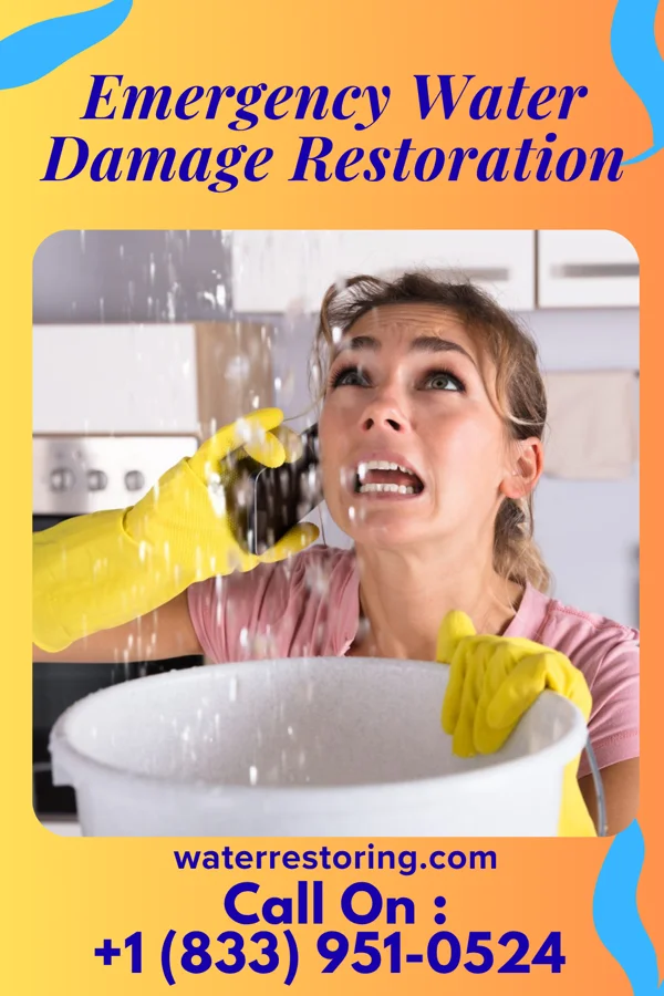 Emergency Water Damage Restoration in May Creek, WA